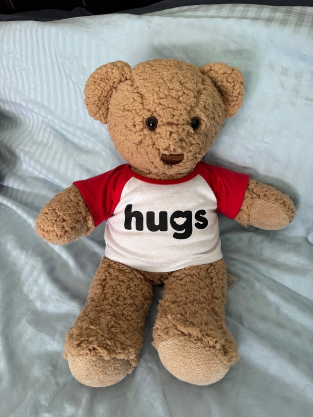 Build-A-Bear Brown Teddy with Red & White 'hugs' Shirt
